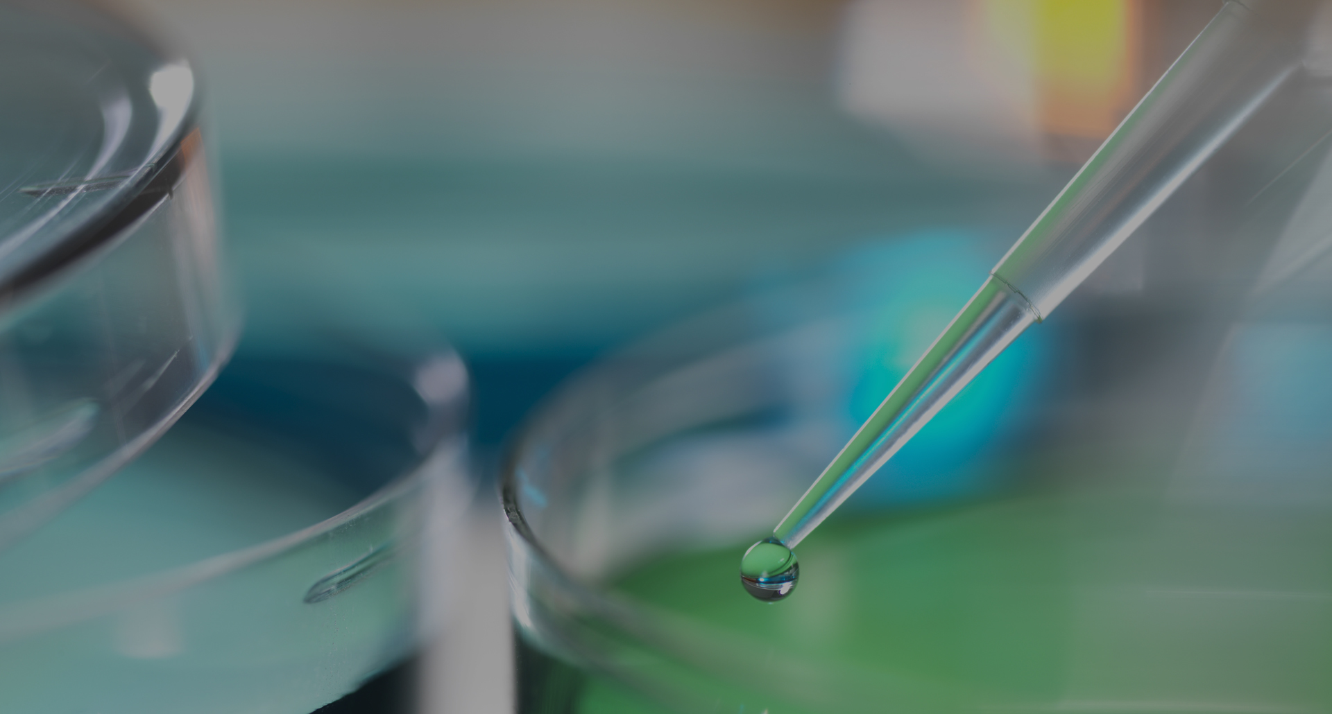 浙江杭摩科技有限公司